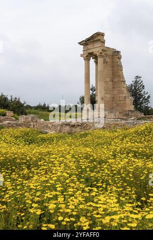 Antiche colonne di Apollon Hylates, dio del bosco, santuario nel distretto di Limassol, Cipro, Europa Foto Stock