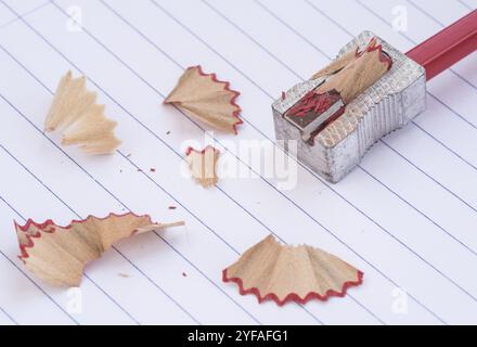 Colorare la matita rossa in legno artistico su un affilatore e rasature. Ritorno al concetto di scuola Foto Stock