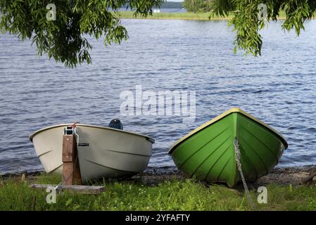 Barche a remi ormeggiate vicino all'erba di canne sotto l'albero sul lago con acqua calma. Lago Kallavesi kuopio finlandia Foto Stock