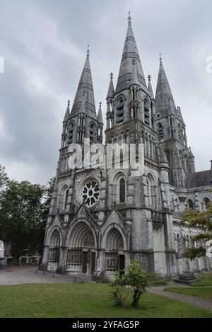 Cattedrale anglicana e giardini di Saint fin Barres. Città di Cork Irlanda Europa Foto Stock