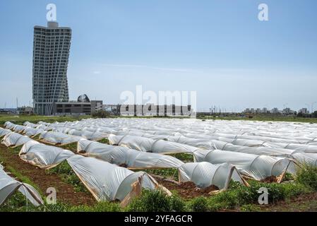 Serra sul campo per la coltivazione di verdure e edificio moderno. Agricoltura urbana. Ayia Napa cipro Foto Stock