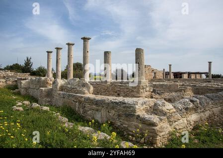 Antiche colonne di Apollon Hylates, dio del bosco, santuario nel distretto di Limassol, Cipro, Europa Foto Stock