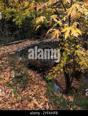 Paesaggio autunnale con fiume che scorre sotto un antico ponte in pietra e foglie di acero giallo sul terreno. Drakos ponte medievale Troodos Cipro Foto Stock