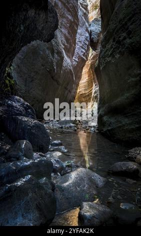 La famosa, bella e pittoresca gola di Avakas nella penisola di Akamas, il quartiere di Paphos a Cipro Foto Stock