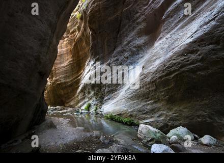 La famosa, bella e pittoresca gola di Avakas nella penisola di Akamas, il quartiere di Paphos a Cipro Foto Stock