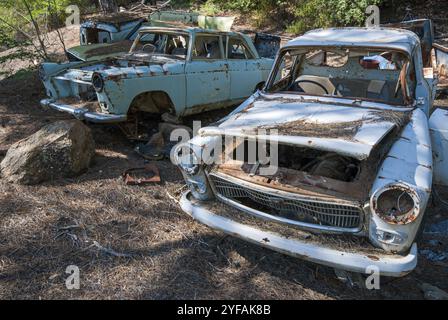 Relitto di un'auto distrutta e abbandonata. Inquinamento ambientale e necessità di riciclaggio Foto Stock