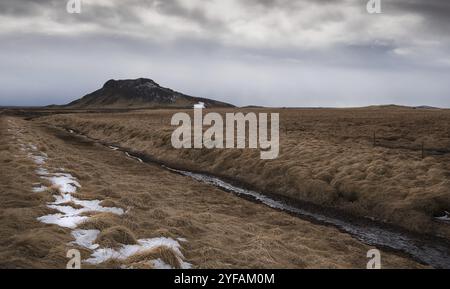 Tipico paesaggio islandese con pesci e montagne nella penisola di Reykjanes in Islanda Foto Stock