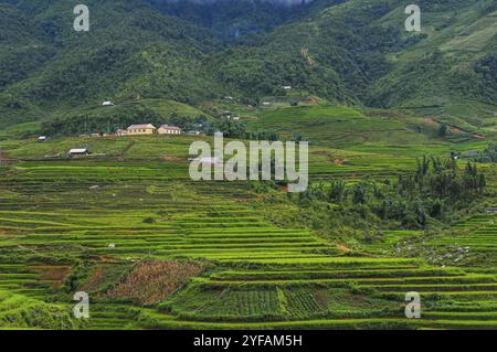 Paesaggio di montagna vietnamita con campi di riso e piccoli villaggi nelle montagne dell'area di Sapa in Vietnam Asia Foto Stock