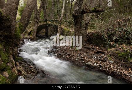 Paesaggio autunnale con fiume che scorre sotto un ponte in pietra Foto Stock