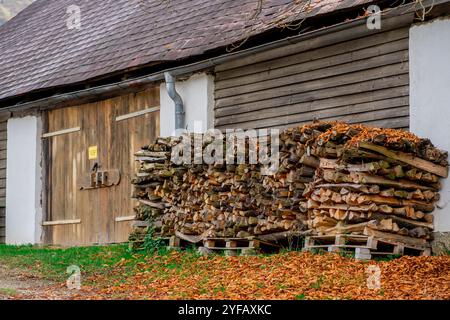 I tronchi di alberi tagliati preparati per l'inverno si trovano vicino alla casa Foto Stock
