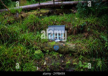 Piccola casa nella foresta irlandese Foto Stock