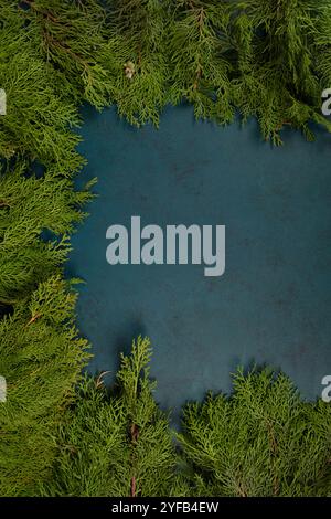 Rami Evergreen lussureggianti che incorniciano sfondo Moody scuro - Fotografia in stile paesaggio rustico naturale per progetti invernali o festivi Foto Stock