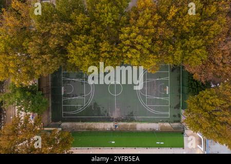 Vista verticale aerea di un campo da pallacanestro circondato da alberi Foto Stock