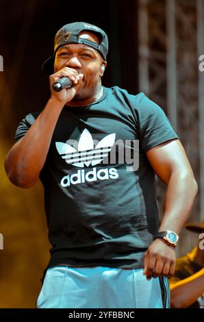 DJ Locksmith - Rudimental, V2013, Hylands Park, Chelmsford, Essex, Regno Unito - 18 agosto 2013 Foto Stock