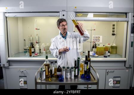 AIX-en-Provence (Francia sud-orientale), 2 giugno 2015: Christian Pinatel, oleologo, direttore del "Centre technique de l'olivier", a Chemical and Foto Stock
