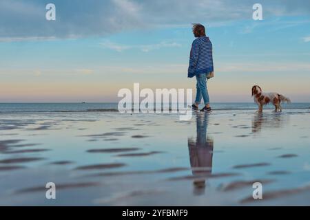 Una signora che cammina un re Charles Cavalier Spaniel lungo la spiaggia con la bassa marea. Foto Stock