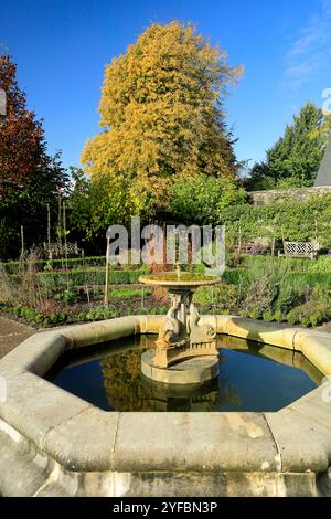 Colori autunnali, Physic Garden, Cowbridge, vale of Glamorgan, Galles del Sud, REGNO UNITO. Foto Stock