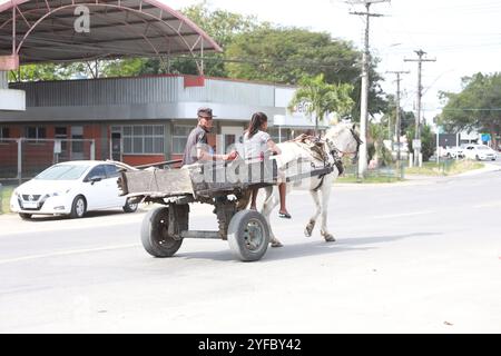 feira de santana, bahia, brasile - 27 agosto 2024: Carretto trainato da animali è visto in una strada della città di Feira de Santana Foto Stock