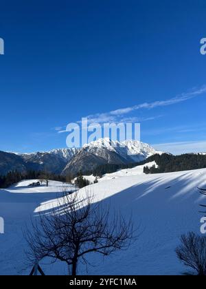 Paesaggio invernale mozzafiato nei pressi di Salisburgo: Campi innevati, alberi sparsi e un suggestivo panorama montano sotto un cielo limpido e blu profondo Foto Stock