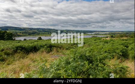 Panoramica di Castle Semple Loch, con Barr e Kilbirnie Lochs sullo sfondo, vicino a Lochwinnoch, Renfrewshire, Scozia, Regno Unito, luglio. Foto Stock