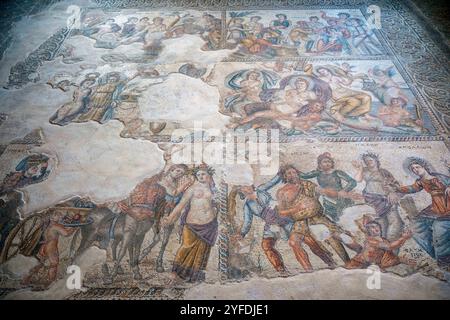 Sezione di un mosaico romano nella Casa di Aion, Parco Archeologico di Paphos, Nea Pafos, Paphos, Cipro. Foto Stock