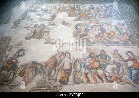 Sezione di un mosaico romano nella Casa di Aion, Parco Archeologico di Paphos, Nea Pafos, Paphos, Cipro. Foto Stock