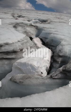 Un viaggio attraverso il cuore ghiacciato della Norvegia: Ghiacciai torreggianti si fanno strada attraverso maestosi fiordi, offrendo agli avventurieri uno sguardo sulla potenza grezza Foto Stock