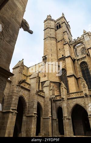 Chiostro della Cattedrale di Narbona, dedicato a Saint-Just-et-Saint-Pasteur o Santi Giusto e Pastore, Narbona, Occitanie, Francia Foto Stock