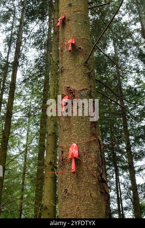 Mostra "Shovel Bugs" dell'Atelier LandArt sul Forest of Dean Sculpture Trail, evidenziando la vita nascosta degli insetti, Gloucestershire, Regno Unito, febbraio 2024. Foto Stock