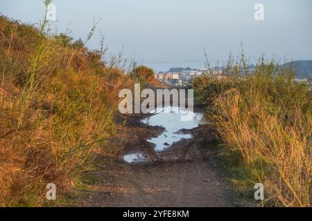 Fango con piste per veicoli su una strada rurale dopo una pioggia intensa, Spagna. Foto Stock