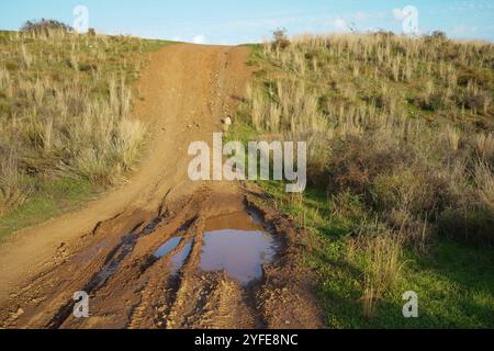 Fango con piste per veicoli su una strada rurale dopo una pioggia intensa, Spagna. Foto Stock