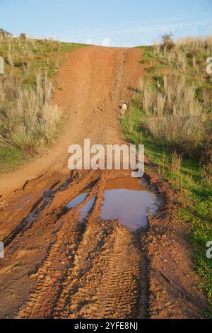 Fango con piste per veicoli su una strada rurale dopo una pioggia intensa, Spagna. Foto Stock