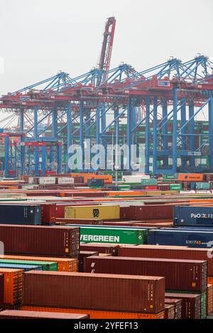 Amburgo, Germania. 4 novembre 2024. I container sono conservati presso il Container Terminal Burchardkai (CTB) di Hamburger Hafen und Logistik AG HHLA nel porto di Amburgo. Credito: Christian Charisius/dpa/Alamy Live News Foto Stock