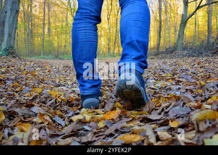 Un uomo cammina sulle foglie autunnali attraverso la foresta. Camminare nella natura Foto Stock