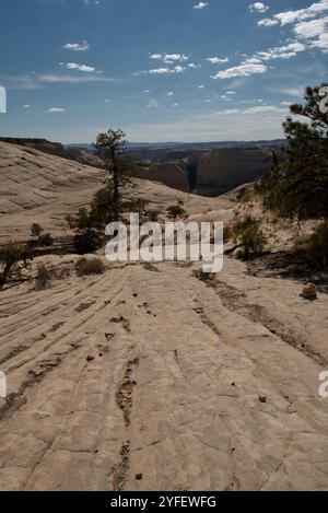 Alba al Death Hollow Canyon nello Utah Foto Stock