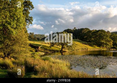 vecchia recinzione a loughrigg tarn vicino al quartiere dei laghi con ponte sul ponte al tramonto Foto Stock