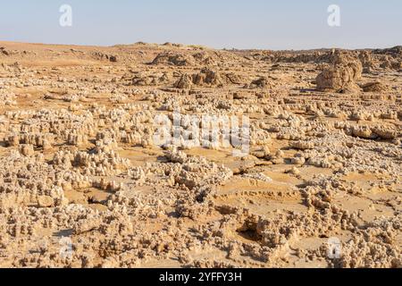 Il surreale paesaggio vulcanico di Dallol nella depressione di Danakil, Etiopia Foto Stock