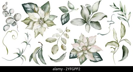 Foglie verdi di clip art ad acquerello, boccioli di fiori su sfondo isolato Foto Stock