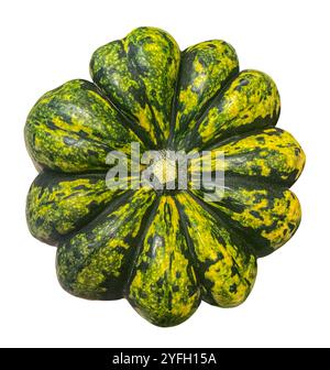 Vista dall'alto dello squash di Carnevale verde e giallo con strisce isolate su sfondo bianco. Foto Stock