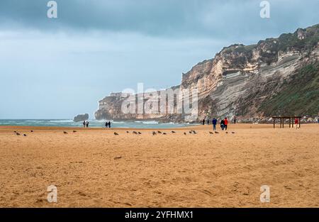 Nazare, Portogallo - ottobre 26 2024: Gente e gabbiani sulla spiaggia, in una giornata nuvolosa. Il promontorio di Sitio è sullo sfondo. Foto Stock