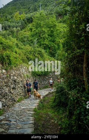 Escursionisti con un cane su un vecchio sentiero in pietra vicino a Vernazza escursioni da Corniglia a Vernazza, cinque Terre, provincia di la Spezia, parte della regione di li Foto Stock