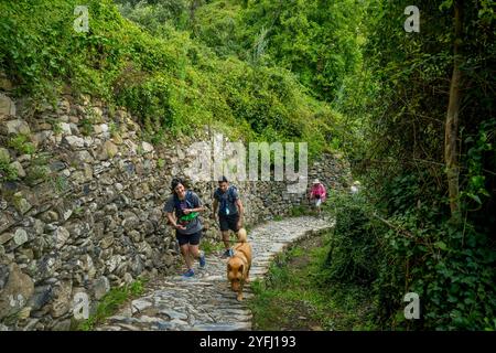 Escursionisti con un cane su un vecchio sentiero in pietra vicino a Vernazza escursioni da Corniglia a Vernazza, cinque Terre, provincia di la Spezia, parte della regione di li Foto Stock