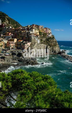 Vista delle case colorate di Manarola, costruite su un'alta roccia a 70 metri sul livello del mare, cinque Terre, provincia di la Spezia, parte della regione di L. Foto Stock