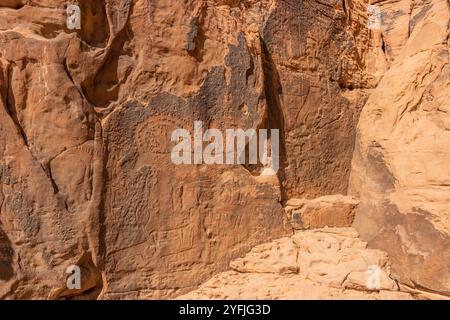 Arte rupestre (petroglifi) a Jubbah, Arabia Saudita Foto Stock