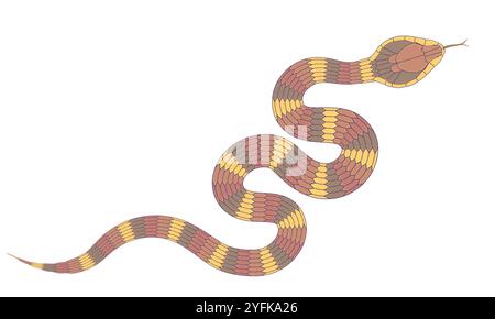 motivo di serpente cartoni animati arancione astratto Illustrazione Vettoriale