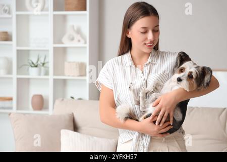 Giovane donna che tiene a casa il suo cane Biewer Terrier Foto Stock