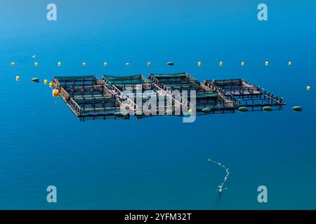 Laghetto di pesci nell'isola di pag, Croazia Foto Stock