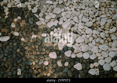 Natural river stones with smooth textures and varied shapes, perfect for landscaping or decorative purposes Foto Stock