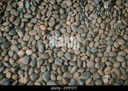 Natural river stones with smooth textures and varied shapes, perfect for landscaping or decorative purposes Foto Stock