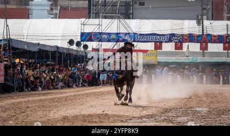 Un fantino cavalca un bufalo su una pista sterrata durante il 153° Festival annuale di Chonburi Buffalo Racing a Chonburi, Thailandia. Questa tradizione secolare Foto Stock